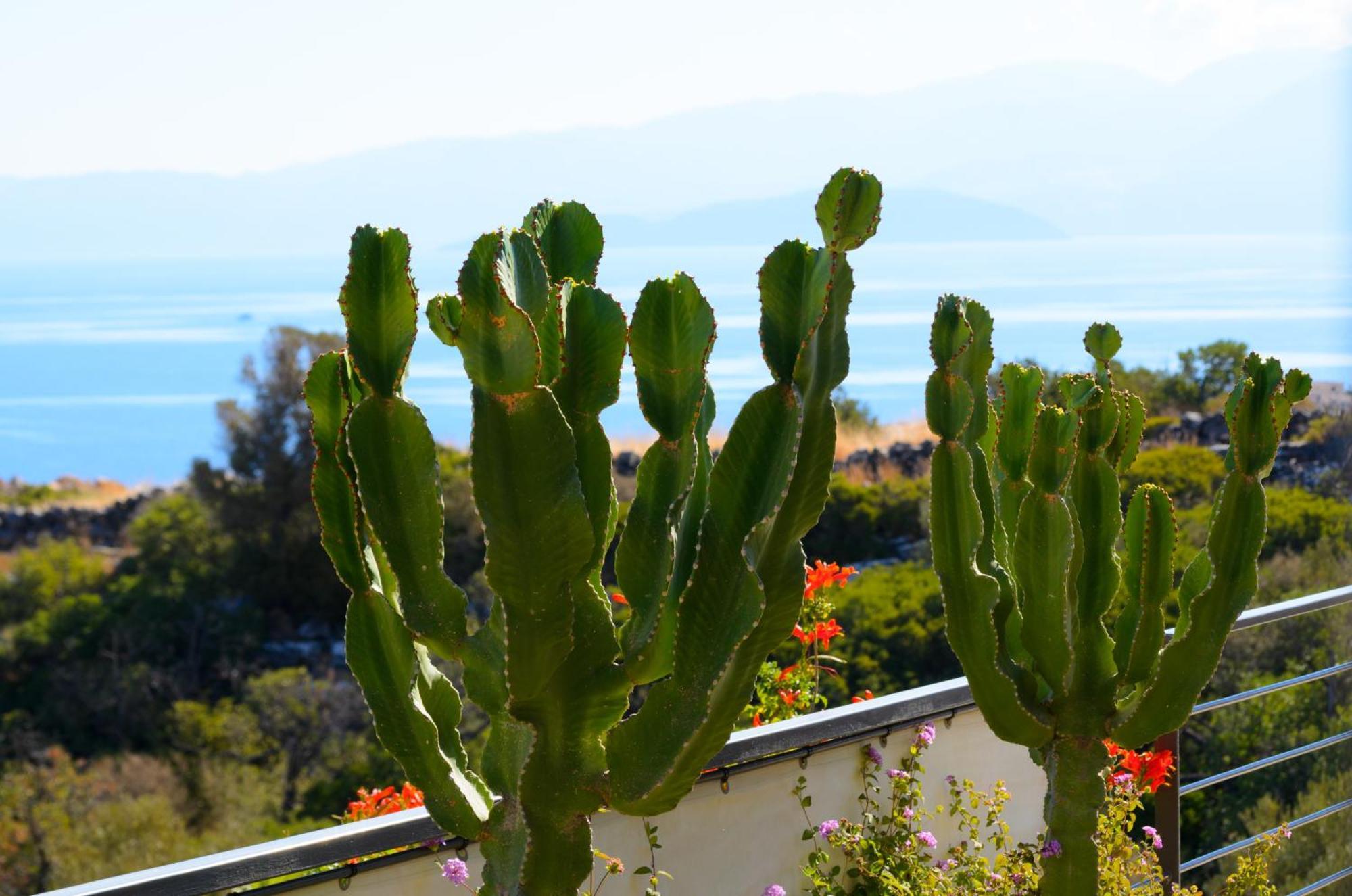 Anemos Elounda Villas Exterior foto